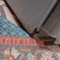 یخچال فریزر|یخچال و فریزر|چابهار, |دیوار