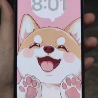 آیفون 14pro|موبایل|تاکستان, |دیوار