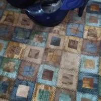 کفش|کیف، کفش، کمربند|شهریار, شهریار|دیوار