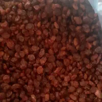 کشمش و مویز استان فارس