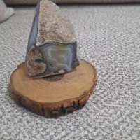 استند چوب با انواع سنگ عقیق|کلکسیون و سرگرمی|سیرجان, |دیوار