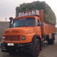 کامیون تک باری