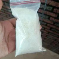 پودر سیر