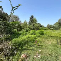250متر-زمین-مسکونی-رشت-سنگر