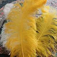 پر علامت آفریقایی|کلکسیون اشیاء عتیقه|تهران, امام حسین|دیوار