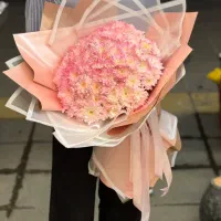 «انفجار قیمت»|گل و گیاه طبیعی|مشهد, هفت تیر (حافظ)|دیوار