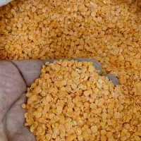 عدس درجه یک کردستان زیر قیمت بازار۱۴۵۰۰۰