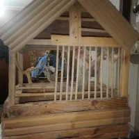 انواع کارهای چوبی بسیار زیبا|صنایع دستی و سایر لوازم تزئینی|ری, صفاییه (چشمه علی)|دیوار