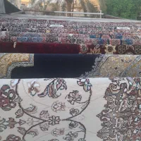 قالیشویی با دستگاه خشک کن لوله ای بدون آسیب به فرش