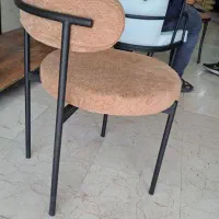 مدل لامینس