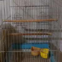 قفس بزرگ پرنده