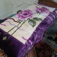 تخت|تخت و سرویس خواب|قم, نیروگاه|دیوار