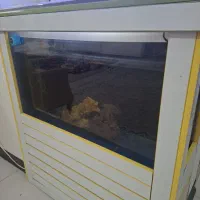 اکواریوم