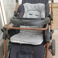 کالسکه دلیجان سالم و بدون ترک و شکستگی در حدنو