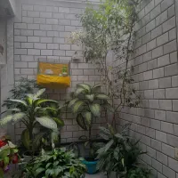 گل طبیعی