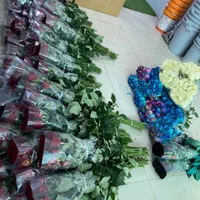 پخش عمده رز هلندی|گل و گیاه طبیعی|شیراز, باغ تخت|دیوار