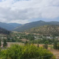 خاص سرمایداری و ساخت لاکچریسازان تنها برج جنگل