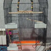 قفس پرنده ( عروس هلندی و طوطی )