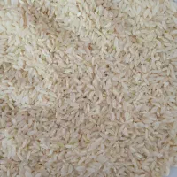 برنج انبربو وضیغمی