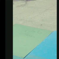 نر سینه سیاه معاوضه