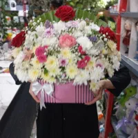گلفروشی ویکتوریا|گل و گیاه طبیعی|کلاچای, |دیوار
