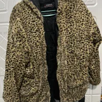 پالتو سوییشرت|لباس|کرج, بنیاد|دیوار