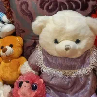 تعداد  ۱۲ عدد عروسک های قشنگ وبادوام|اسباب‌بازی بچه|شیراز, معالی‌آباد|دیوار