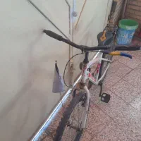 دوچرخه ۲۴|دوچرخه، اسکیت، اسکوتر|شوش, |دیوار