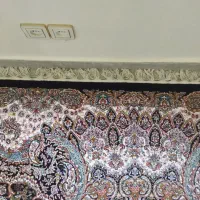 فرش ماشینی|فرش|رشت, فرودگاه سردار جنگل رشت|دیوار