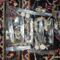 مهره خاص و اصل هندوستان