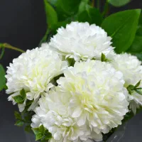 گل و گلدان|گل مصنوعی|زنجان, |دیوار