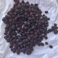 الوچه خشک درجه یک