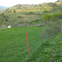 فروش زمین ۳۴۷۴ متری|فروش زمین و ملک کلنگی|توتکابن, |دیوار