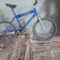 دوچرخه 20|دوچرخه، اسکیت، اسکوتر|خاش, |دیوار