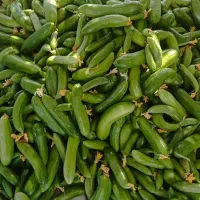 خیار ریز مخصوص خیار شور