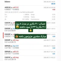 سود بالای ۱۰۰ ٪ برای سرمایه گذاران|خدمات مالی، حسابداری، بیمه|اصفهان, مرداویج|دیوار