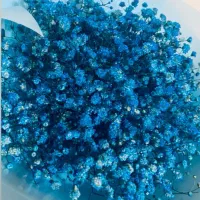 شراکت در زمینه گلخانه