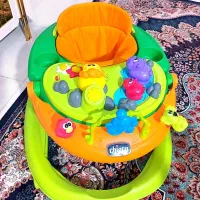 روروئک چیکو سالم و مقاوم سیسمونی