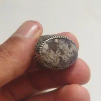 انگشتر شجر زنده،فیروزه زنده