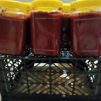رب گوجه|خوردنی و آشامیدنی|لنجان, |دیوار