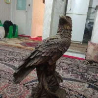 مجسمه عقاب مفت ۲۰۰هزار