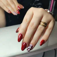 انواع طراحی،فرنچ و آمبره «رایگان»|خدمات آرایشگری و زیبایی|چالوس, |دیوار