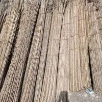 سوند فروشی