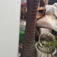 گلدون تمیز و نو