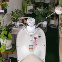 موتور پاکشتی وینو یاماها عروسک.   بوشهر|موتورسیکلت|بوشهر, |دیوار