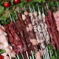 نیرو خانم بساط صدرا
