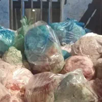 غذای سگ وگربه