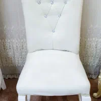 دو عدد صندلی با کاور