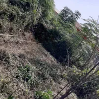 فروش زمین فوری
