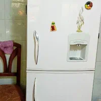 فریزر|یخچال و فریزر|سمنان, |دیوار